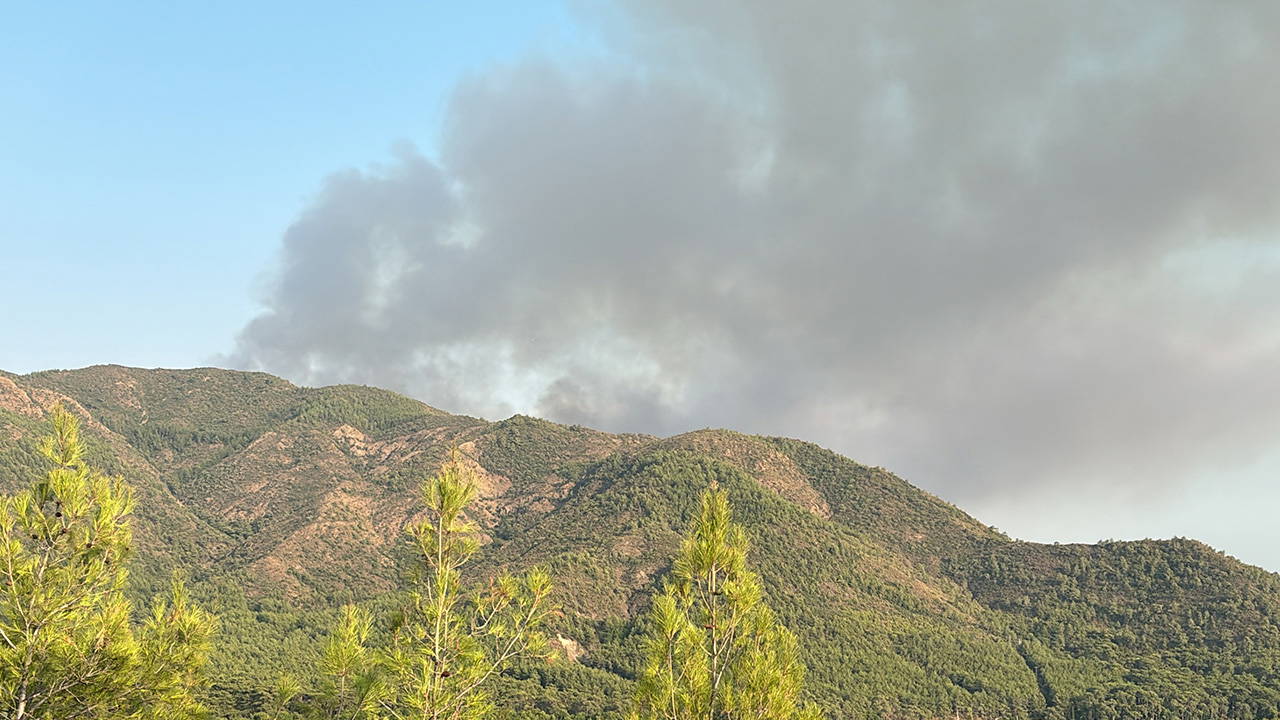 Marmaris'teki orman yangını kontrol altına alındı