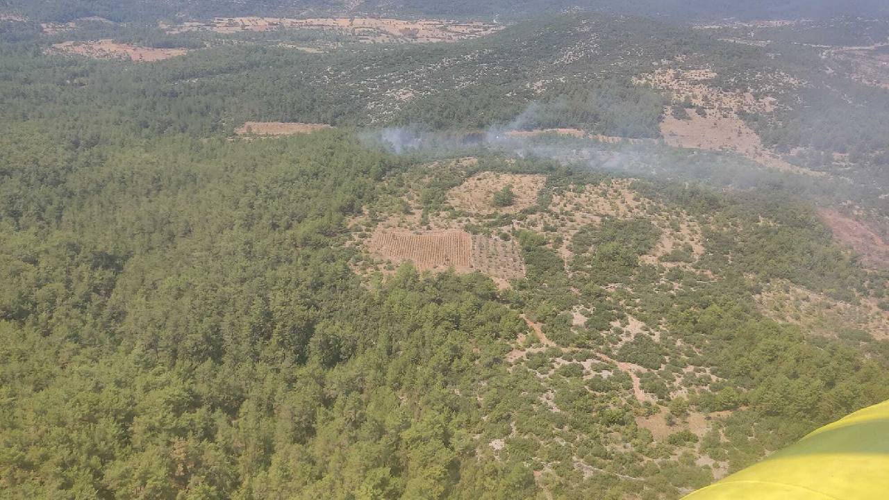 Menteşe'deki Orman Yangını Kontrol Altına Alındı, Ekipler Soğutma Çalışması Başlattı