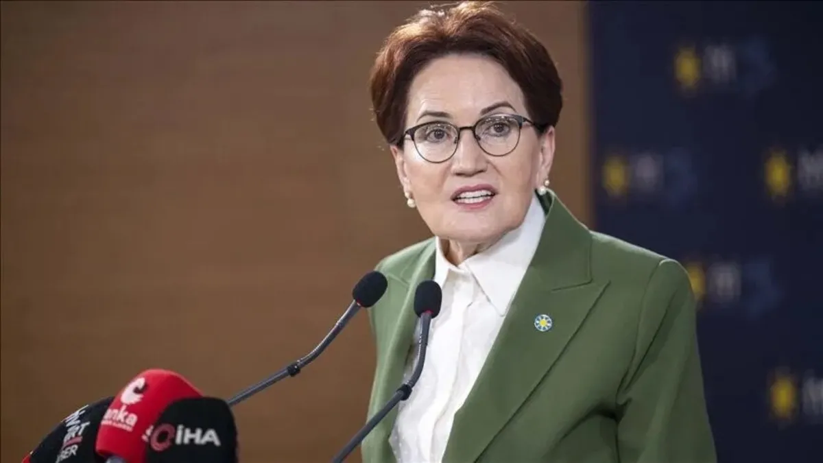 Meral Akşener Siyaseti Bıraktı, Vakıf Kurdu