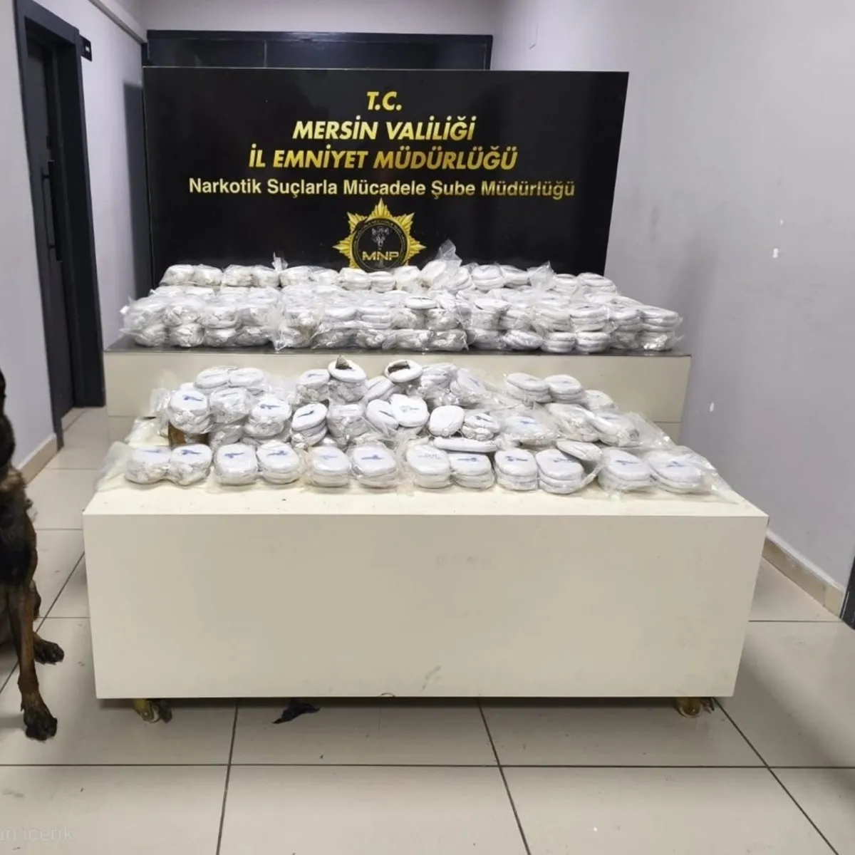 Mersin'de Zehir Tacirlerine Büyük Darbe: Limanda Kokain, Araçta Takoz Esrar