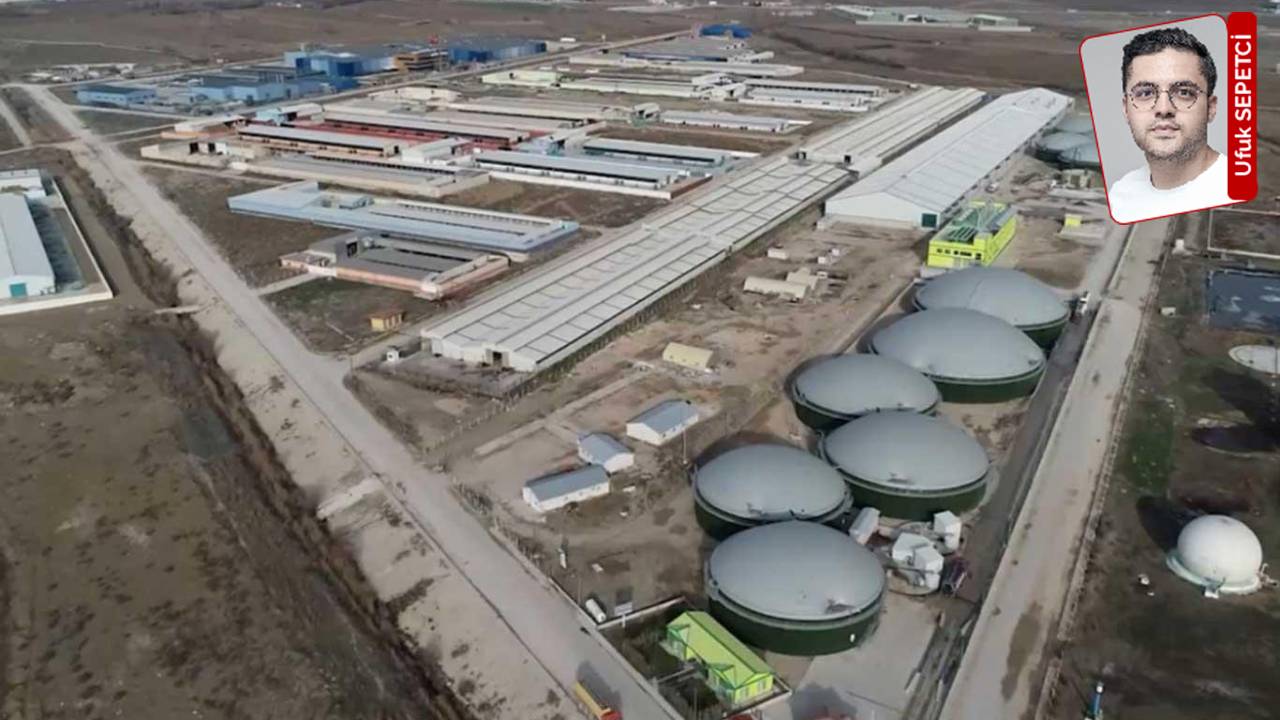 Mesudiye'de 15 bin hayvan kapasiteli mera projesine bilirkişi raporu: ÇED kararı mevzuata uygun değil