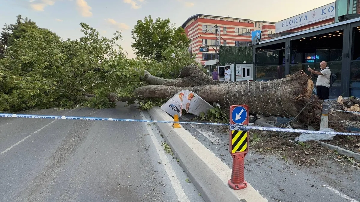 Meteorolojinin uyardığı fırtına İstanbul'da hayatı felç etti: Uçaklar havada tur attı