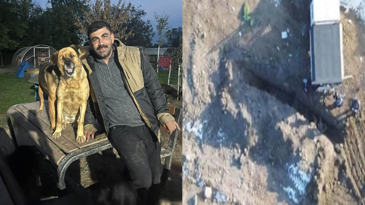 MHP'li belediyenin köpek katliamını ifşa edenlere dava, belediyeye takipsizlik