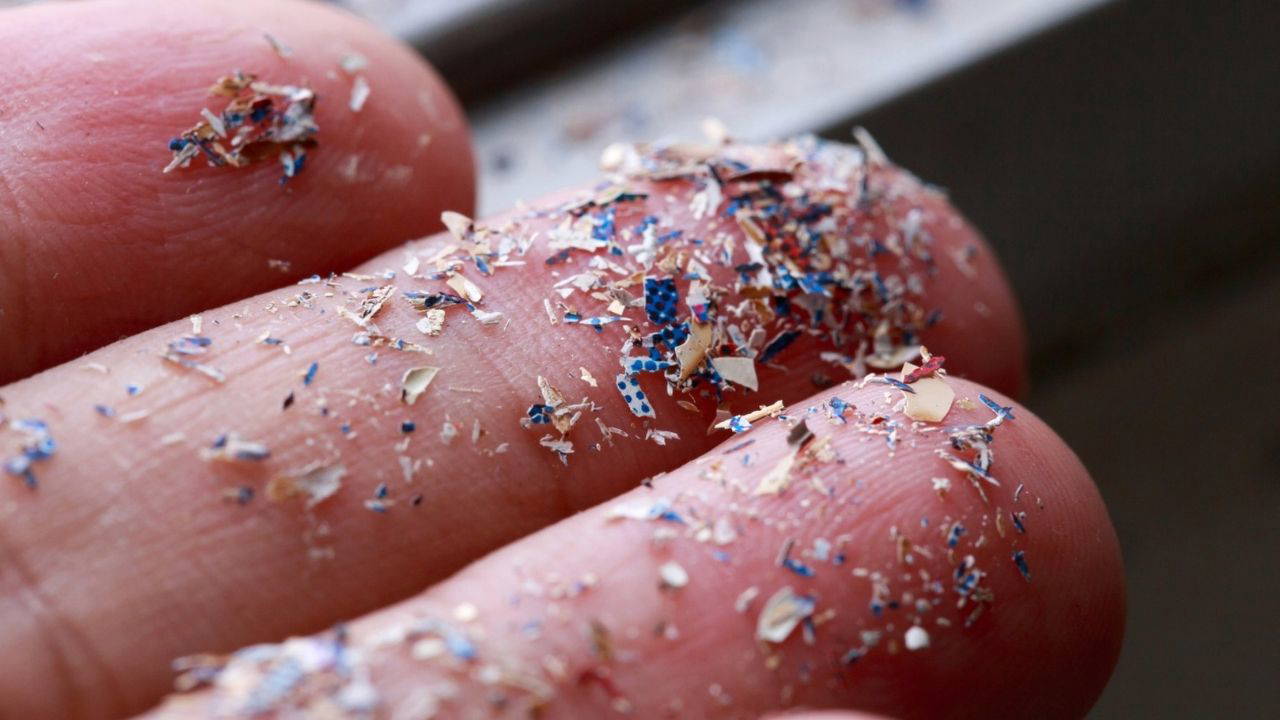 Mikroplastiklerde Gizli Tehlike: Hücrelere Zarar Veren Reaktif Radikaller