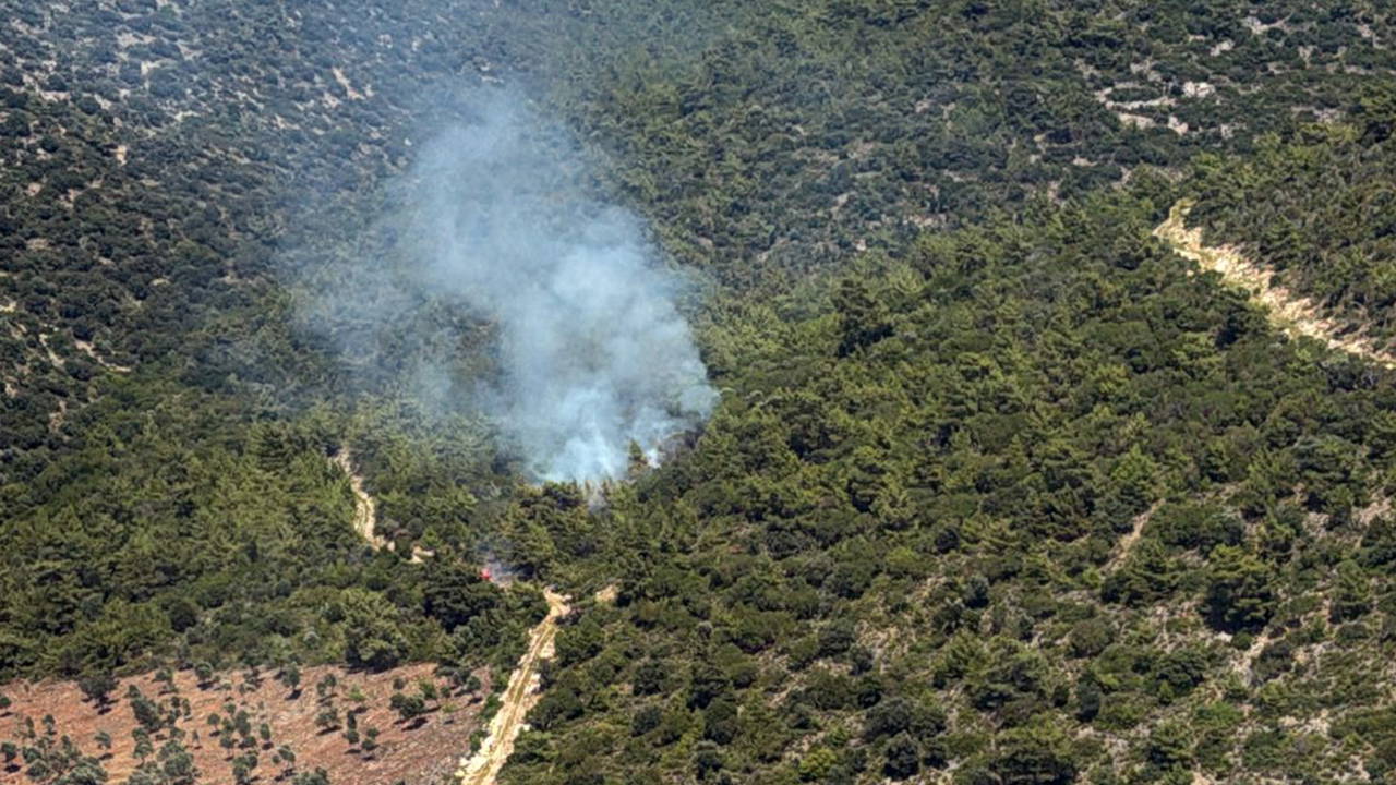 Milas Kazıklı Koyu'nda makilik alanda yangın paniği