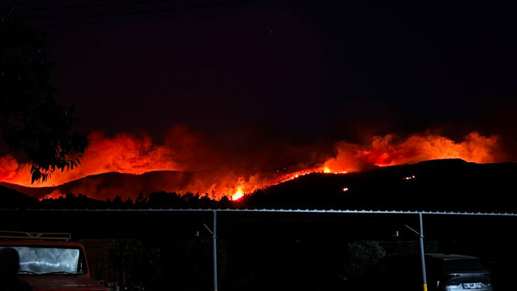 Milas'ta orman yangını: 1120 kişi tahliye edildi