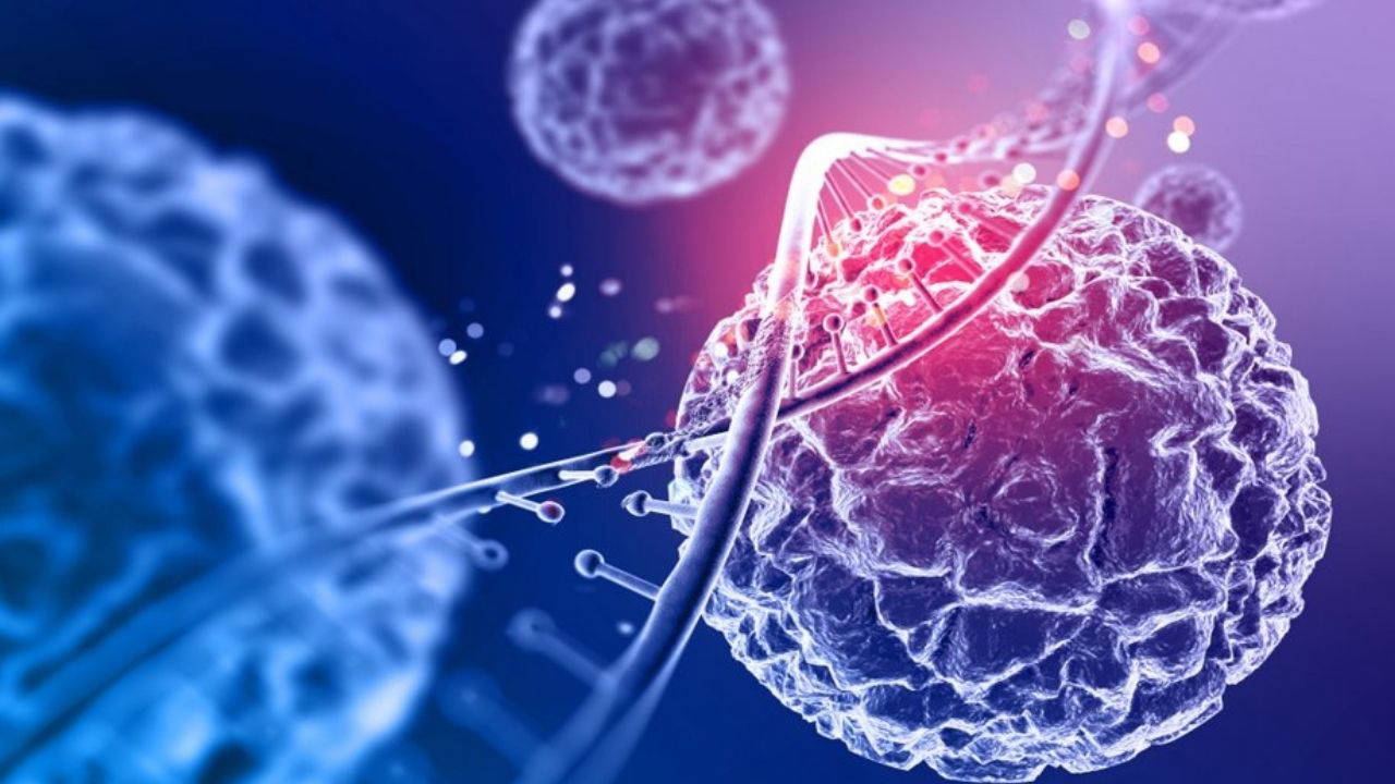 Mitokondri Antibiyotik Direnciyle Savaşıyor: Tarihi Keşif