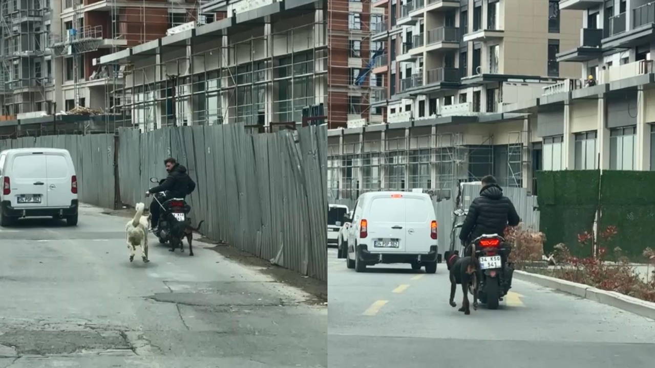 Motosiklete bağladığı köpeği metrelerce koşturan şahsa 8 bin 678 lira ceza