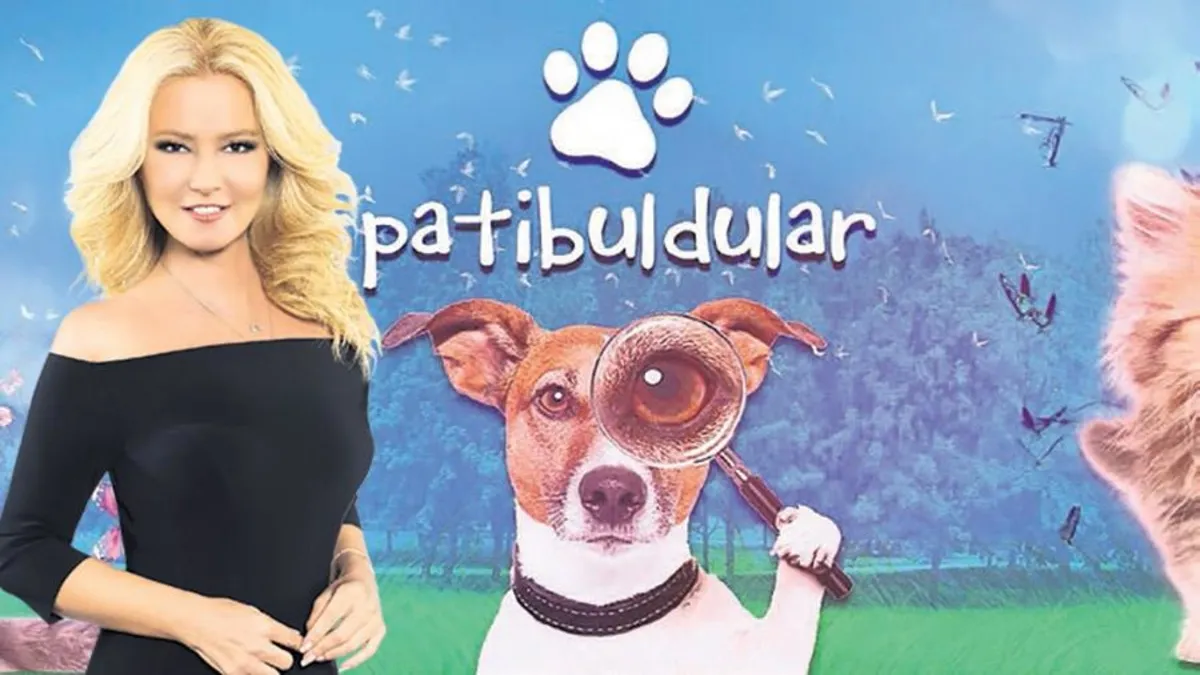 Müge Anlı'nın hayvan projeleri tatilde de kesintisiz devam ediyor