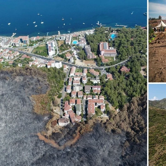 Muğla'da 5 Yıl Sonra Yangın Yaraları Sarıldı, 52 Bin Hektar Yeniden Yeşillendi