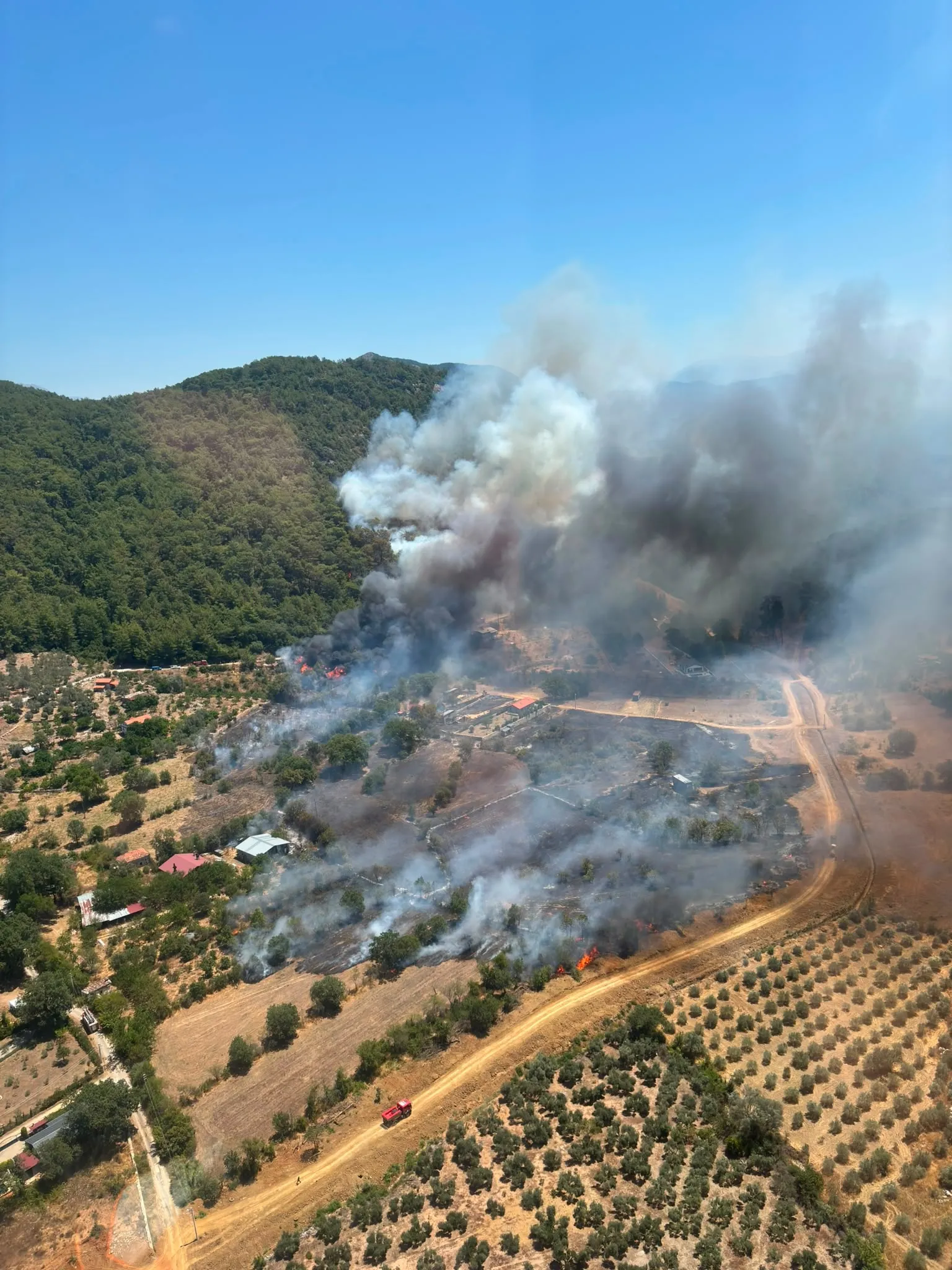 Muğla, Antalya, Aydın ve Afyon'da orman yangınları: Ekipler seferber oldu