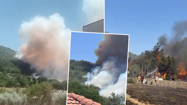 Muğla, Antalya ve Aydın'da orman yangınları: Havadan ve karadan müdahale sürüyor