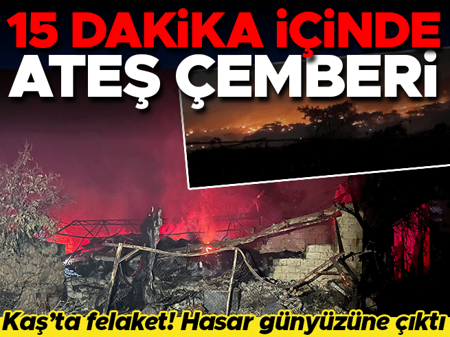 Muğla-Antalya Yangınında Palamut Köyünde Yüzde 80 Hasar: 'Ağaçlarıma Evlatlarımdan Çok Emek Vermiştim