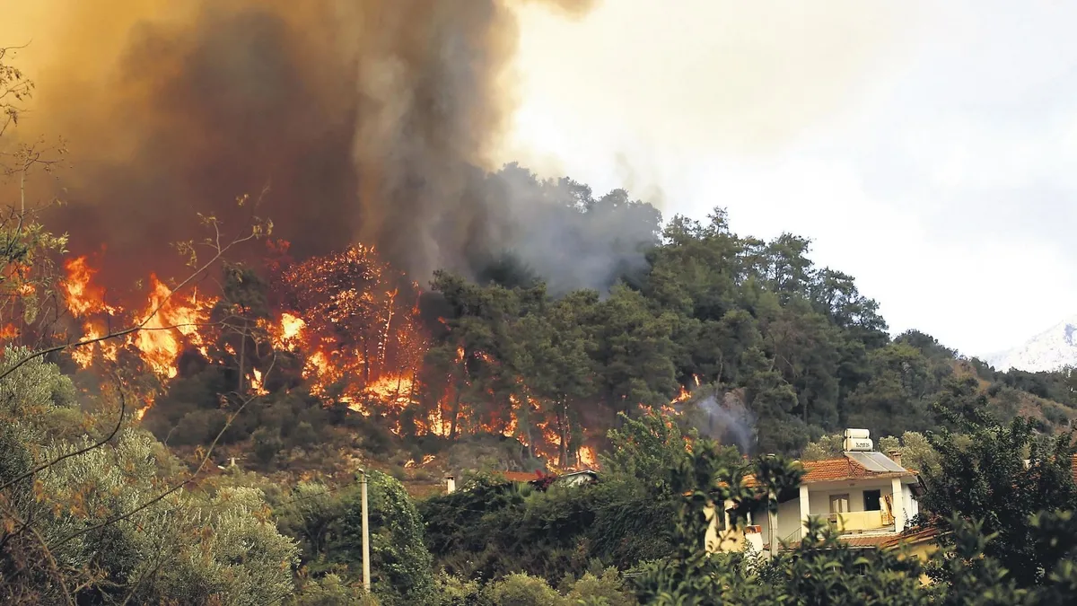 Muğla ve Aydın'da Orman Yangınlarıyla Mücadele Sürüyor