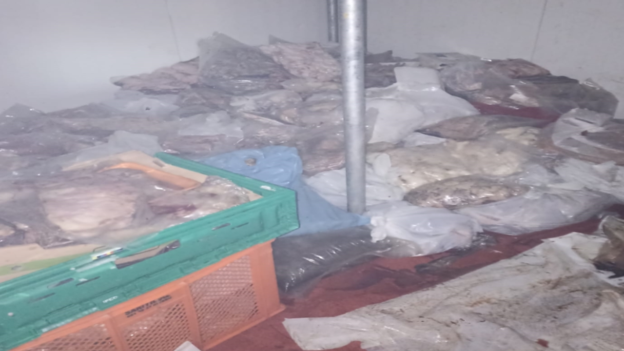 Muğla'da 400 Kilo Bozuk Et Ele Geçirildi