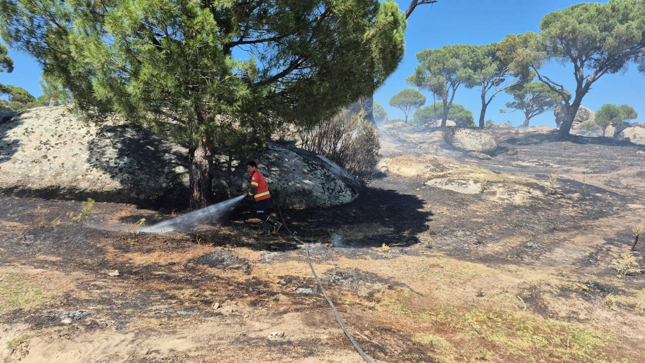 Muğla'da Çıkan 10 Yangından 7'si İnsan Kaynaklı
