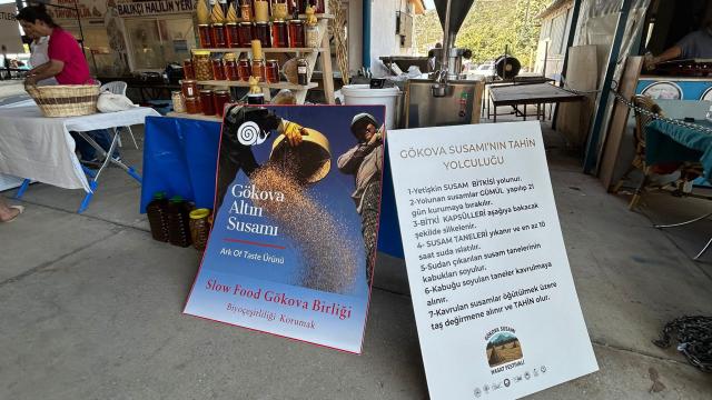 Muğla’nın Gökova Susamı Coğrafi İşaretle Tescillendi