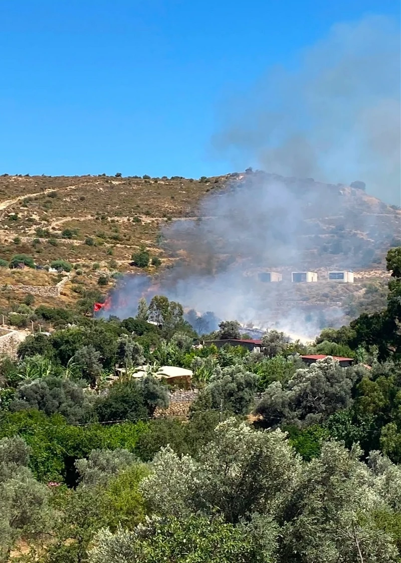 Muğla'daki makilik alanda yangın: Havadan ve karadan müdahale sürüyor