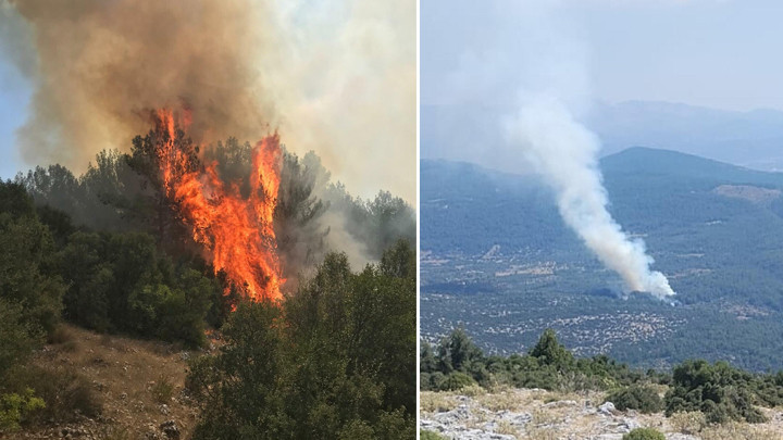 Muğla Menteşe'de Orman Yangını: Alevlere Havadan ve Karadan Müdahale Sürüyor