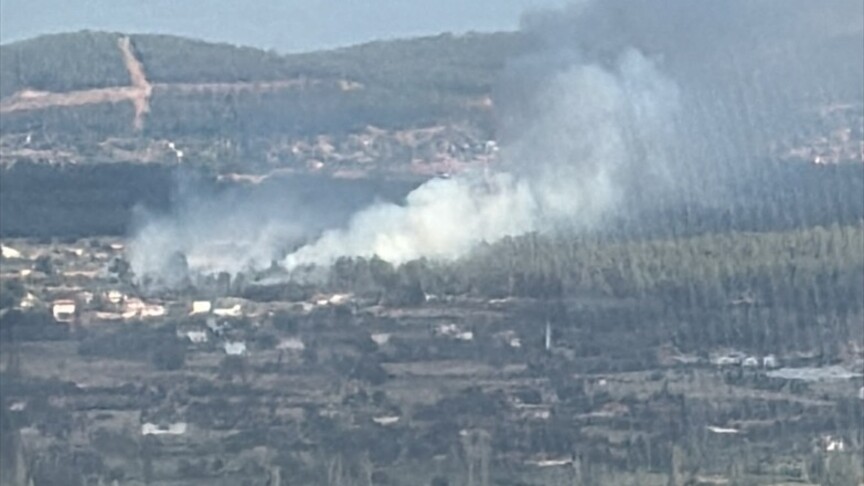 Muğla Menteşe'de Orman Yangını Kontrol Altına Alındı