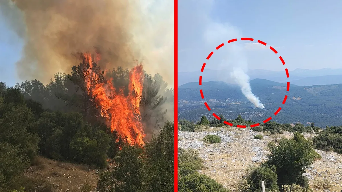 Muğla Menteşe'de Orman Yangını: Havadan ve Karadan Müdahale Sürüyor