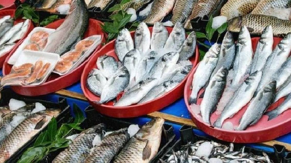 Muğla'nın İki Balığı 70 Ülkede Tükeniyor