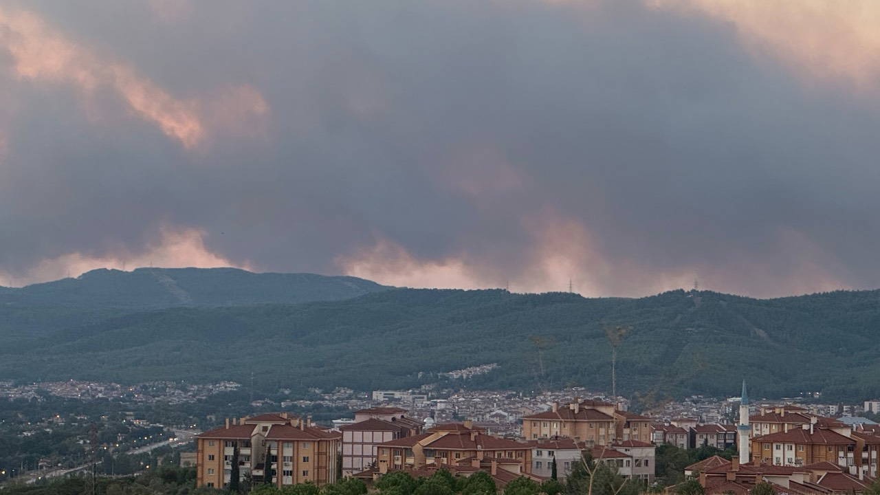 Muğla'da Orman Yangını: Menteşe ve Yatağan'da Evler Tahliye Ediliyor