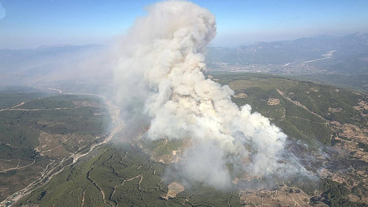 Muğla Seydikemer'deki orman yangınında Fethiye-Antalya karayolu trafiğe kapatıldı