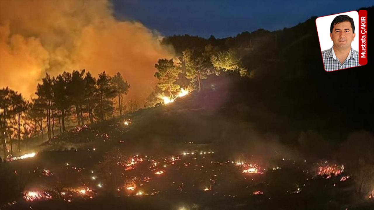 Muğla'daki yangın bölgesine rüzgar türbinleri kuruluyor