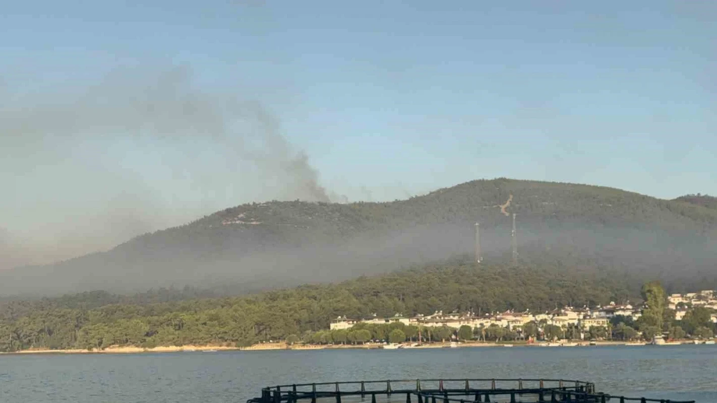 Muğla'daki yangında 1120 kişi tahliye edildi, alevler Kaplankaya'ya dayandı