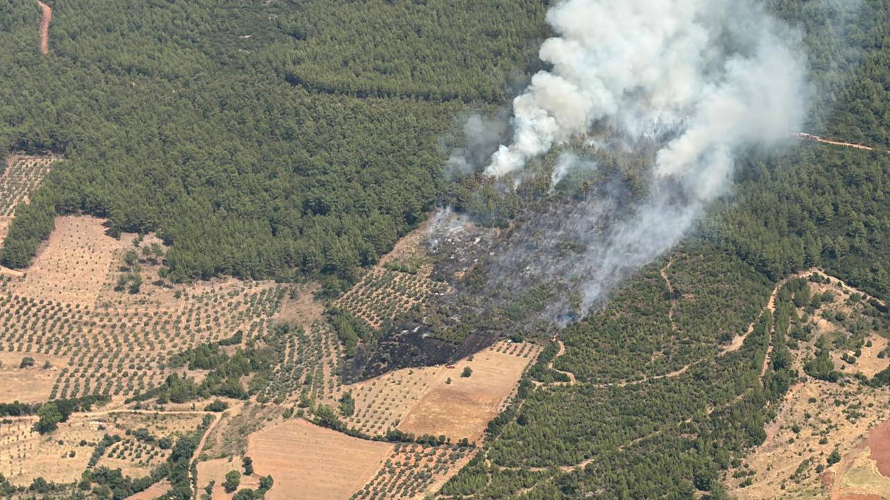 Muğla Yatağan'da Orman Yangını: Havadan ve Karadan Müdahale Sürüyor