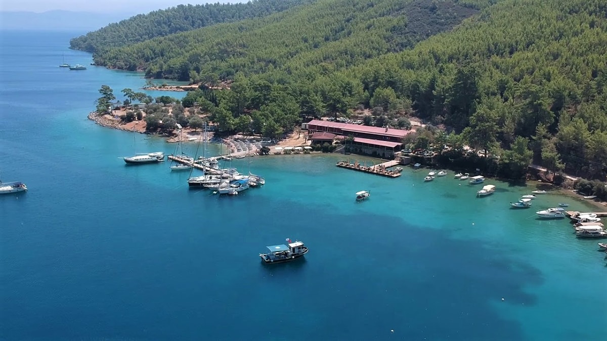 Muğla'da Zeytin Tarlaları Kamulaştırılıyor: CHP'den Tepki
