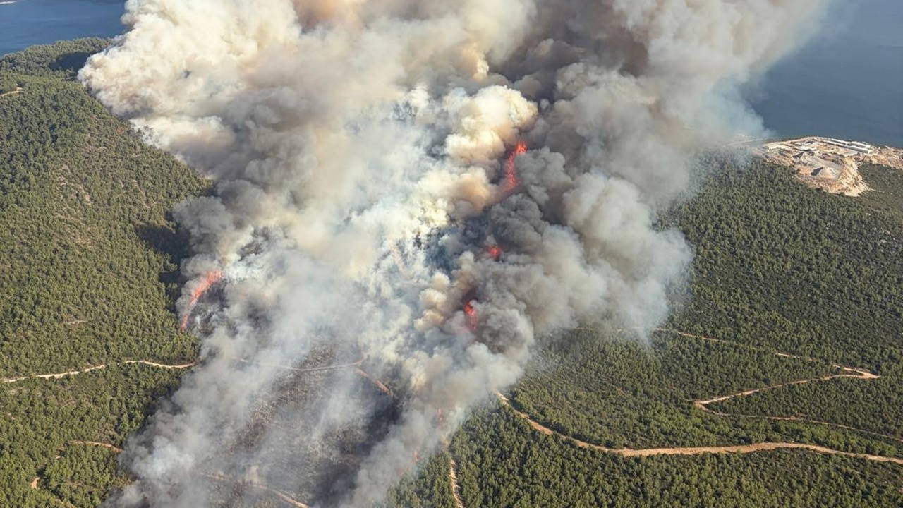 Muğla'da üç ilçede orman yangını: Havadan ve karadan müdahale sürüyor