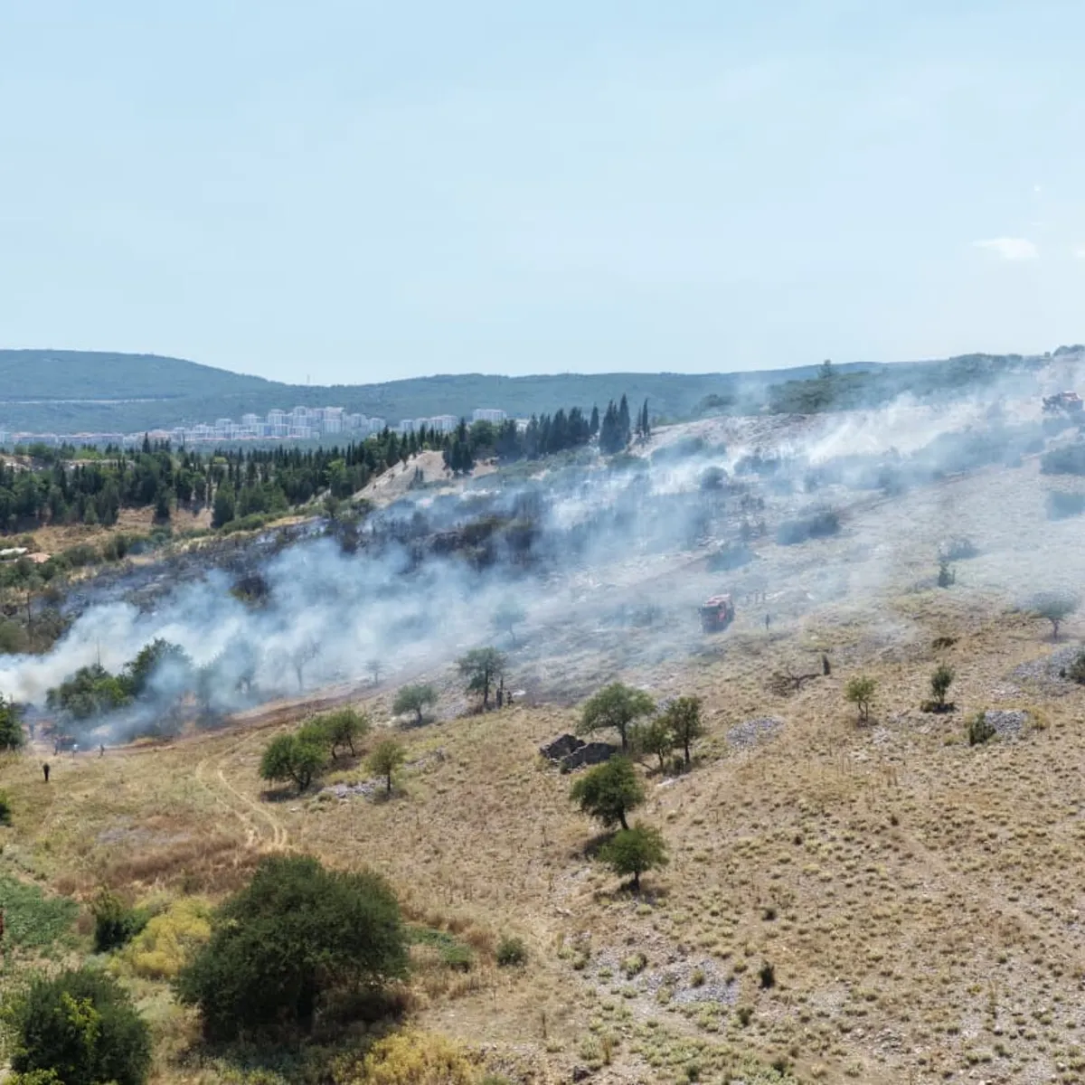 Muğla'da yangın alarmı: Orman ve tarım alanı küle döndü