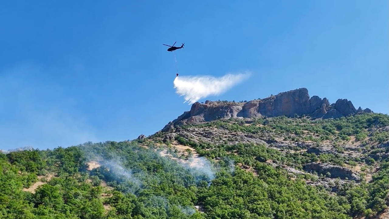 Munzur Vadisi Milli Parkı'ndaki orman yangını kontrol altına alındı