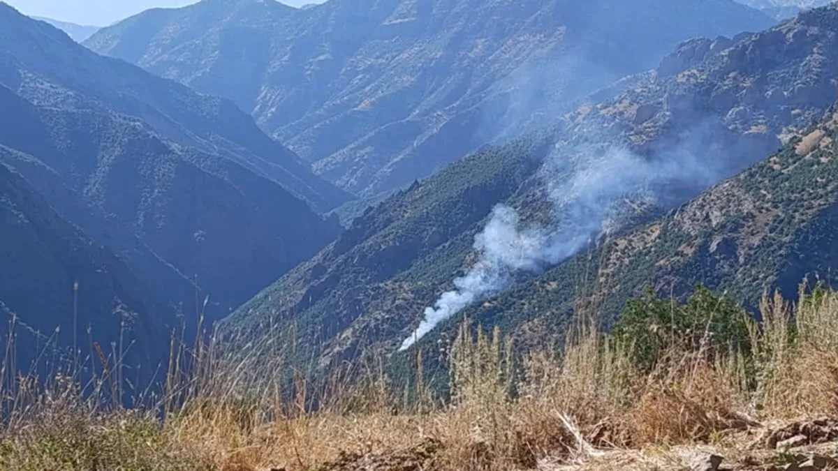 Munzur Vadisi'nde Orman Yangını: Ekipler Alevlere Müdahale Ediyor