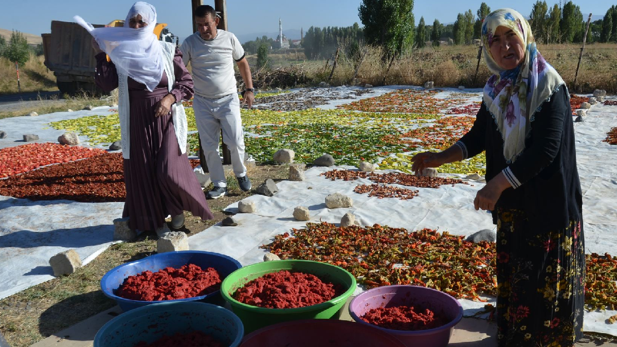 Muş'ta Geleneksel Kurutmalık Avrupa'ya İhracat Kapısı Oldu