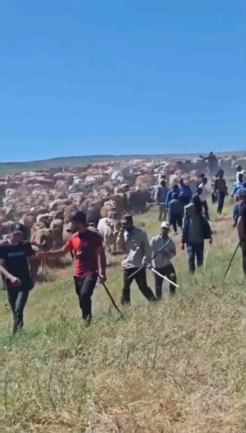 Muş'ta iki köy arasında arazi kavgası: 2 yaralı