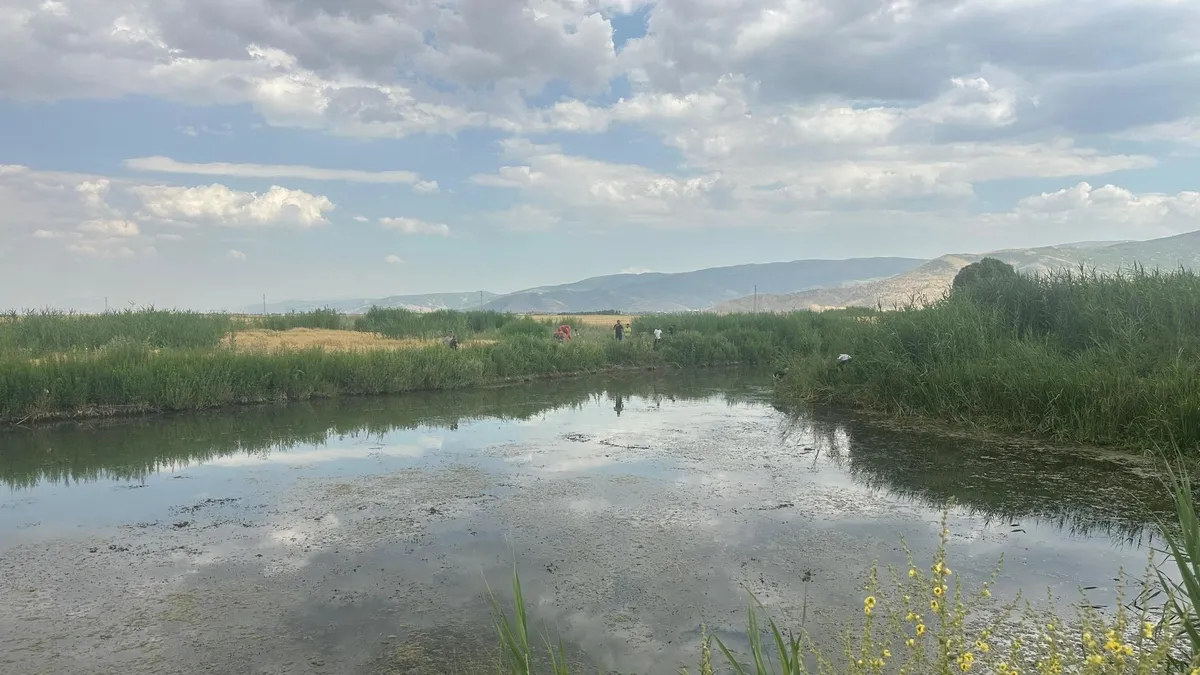 Muş'ta balık avlarken suya düşen iki kuzen boğuldu