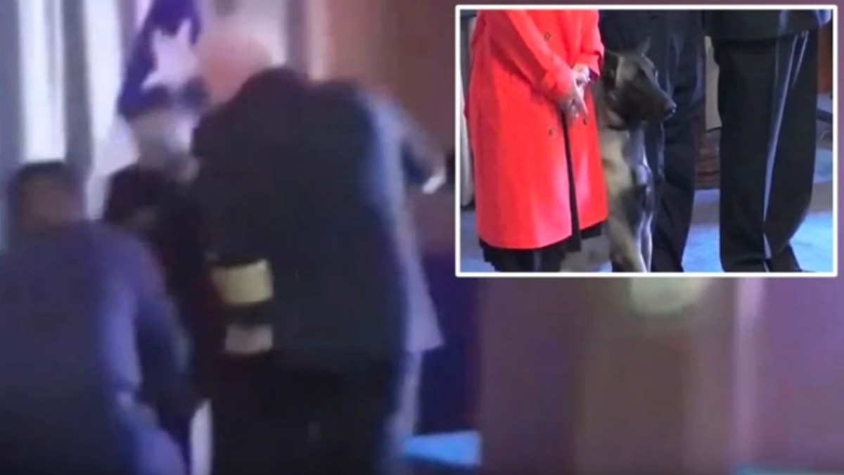 Narkotik köpeği törende tümamirale saldırdı