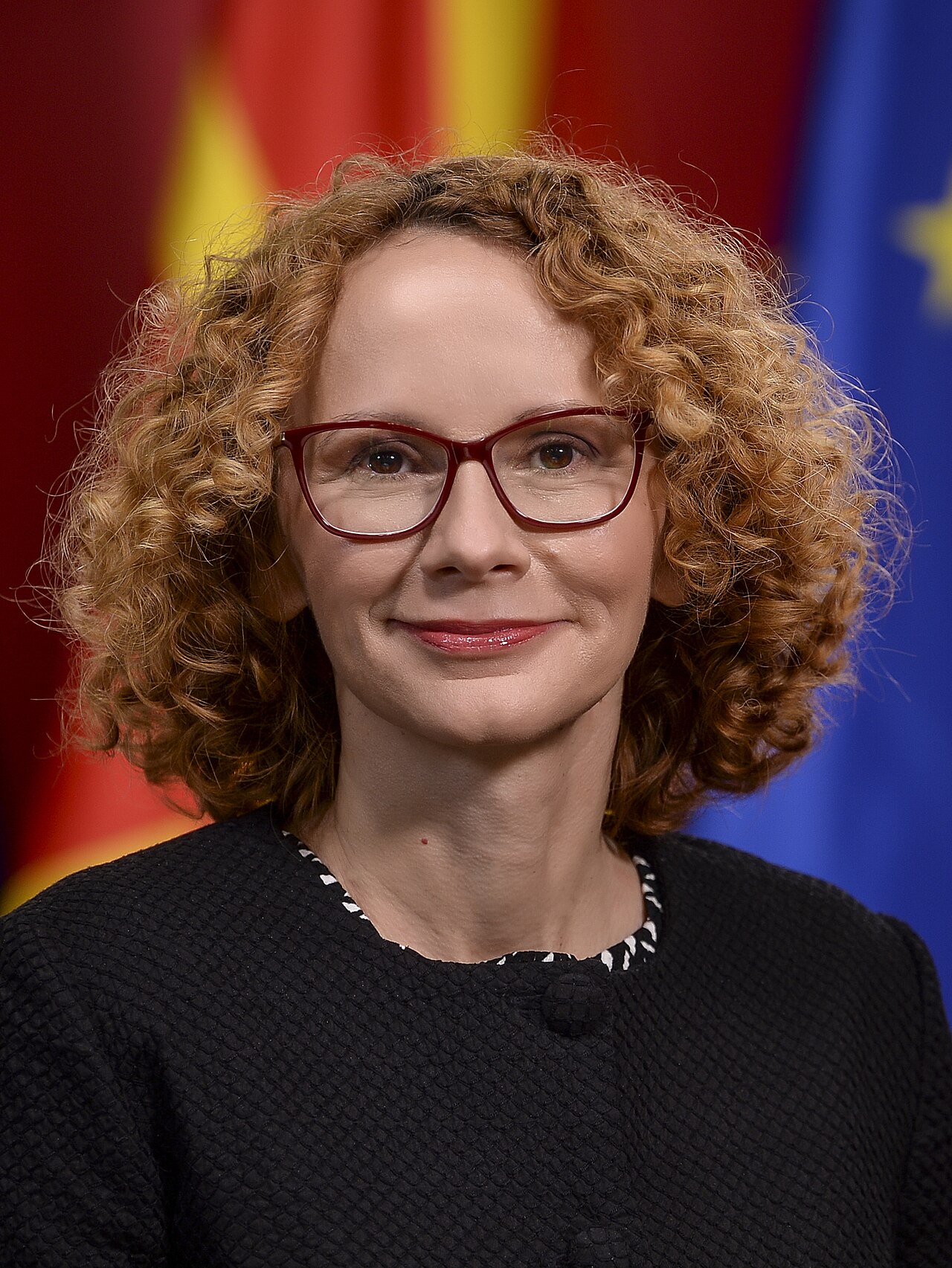 NATO Genel Sekreter Yardımcısı: Ek Savunma Harcamaları Etkin Kullanılıyor