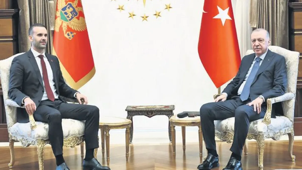 NATO Zirvesi Sonrası Cumhurbaşkanı Erdoğan'ın Diplomasi Maratonu