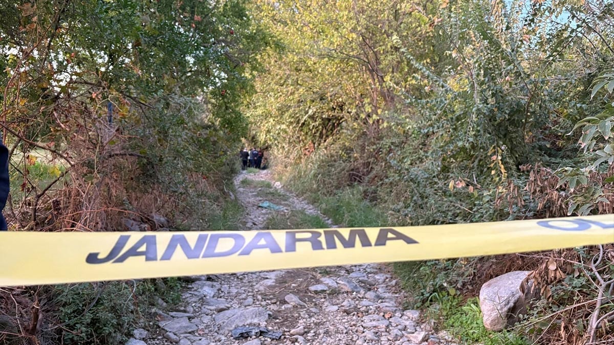 Nazilli'de Koyun Otlatan Çiftçi Ölü Bulundu