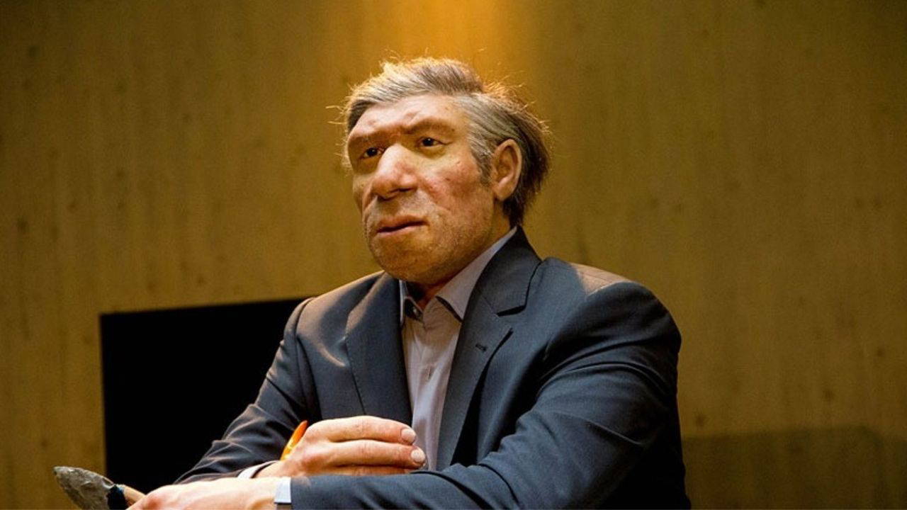 Neandertal genleri boy ve kas yapısını etkiliyor