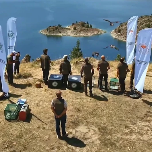 Nemrut Kalderası'nda Yaban Hayatı Yuvaya Döndü
