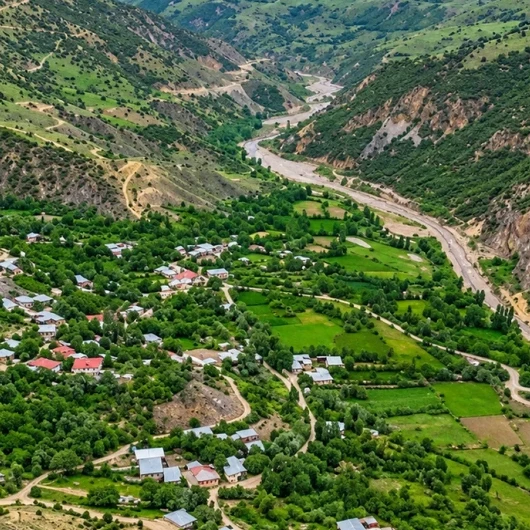 Nesli tükenme tehlikesindeki canlı Erzincan'da görüntülendi