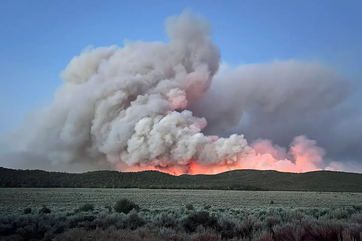 Nevada'da Orman Yangını: Reno Kentinde Tahliye Alarmı, 87 Bin Kişi Yerinden Oldu