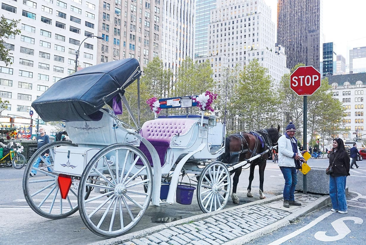 New York'ta Central Park Faytonlarına Yasak Kararı