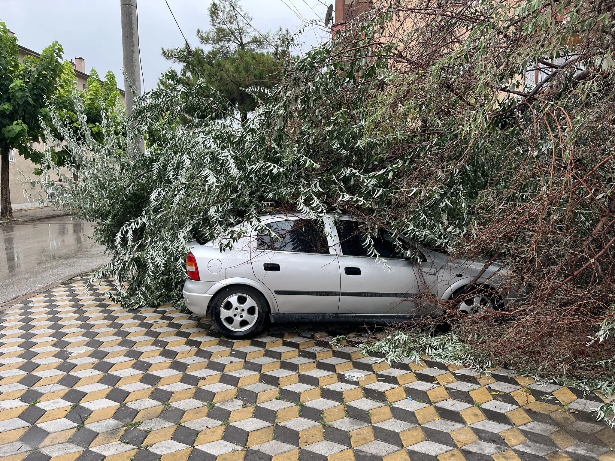 Niğde'de Fırtına Park Halindeki Aracın Üzerine Ağaç Devirdi