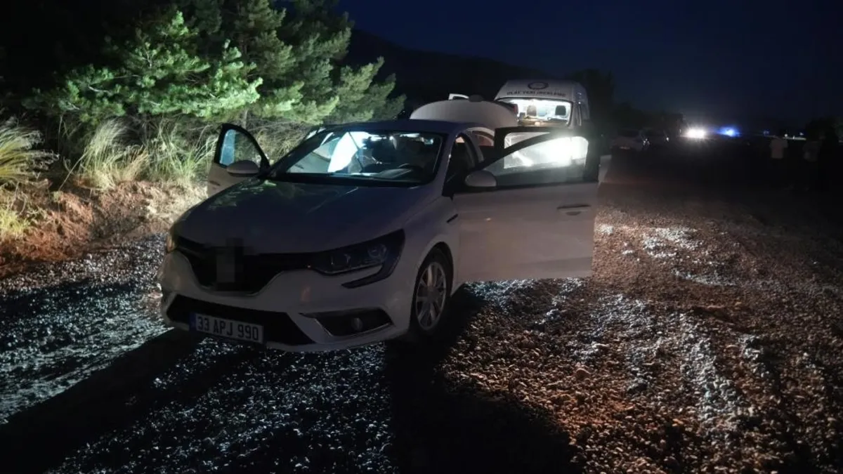 Niğde'de Hatıra Ormanı'nda kavga: Silah ve tır dehşeti